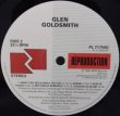画像3: Glen Goldsmith - What You See Is What You Get  LP+12"