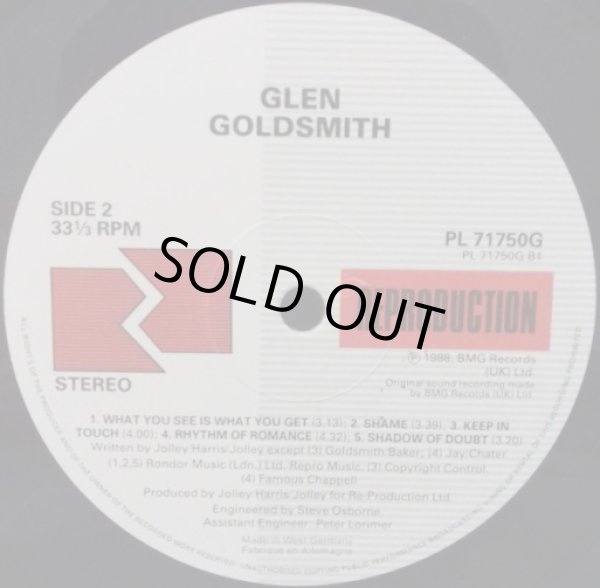 画像3: Glen Goldsmith - What You See Is What You Get  LP+12"