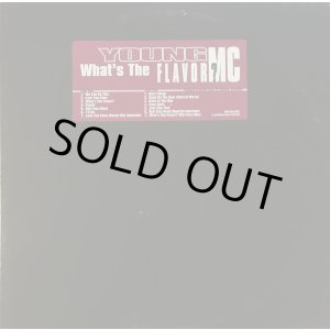 画像: Young MC - What's The Flavor ?  LP