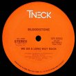 画像2: Bloodstone - We Go A Long Way Back/Nite Time Fun  12"
