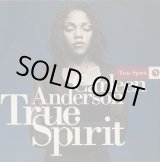 画像: Carleen Anderson - True Spirit  12"
