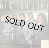 画像: New Horizons - Gonna Have Big Fun  LP 