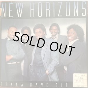 画像: New Horizons - Gonna Have Big Fun  LP 