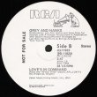 画像2: Grey And Hanks - Now I'm Fine/Love's In Command 12"
