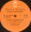 画像2: Bobbi Humphrey‎ - Home-Made Jam/Sunset Burgundy  12"    