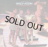画像: Imagination - In The Heat Of The Night  LP