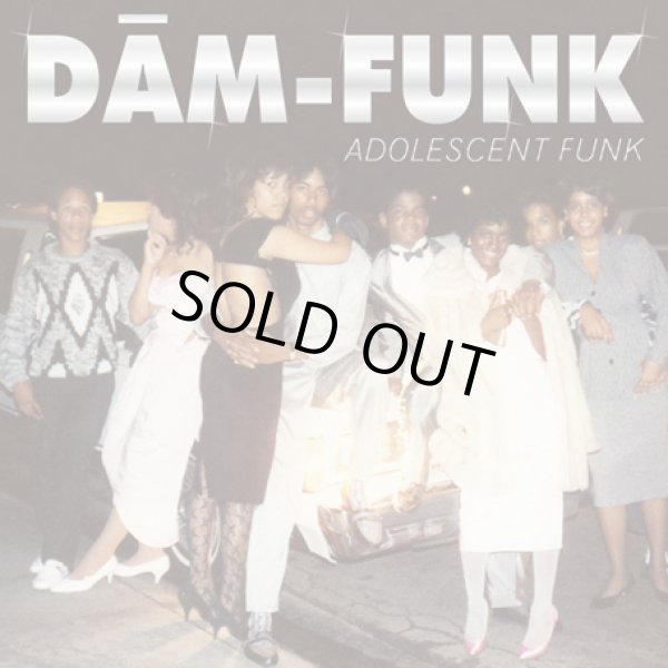 画像1: Dam-Funk - Adolescent Funk  2LP