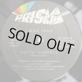 画像: David Lampell - I Ran Iran/Iranian Groove  12"
