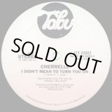画像: Cherrelle - I Didn't Mean To Turn You On  12" 