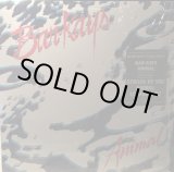 画像: Bar-Kays - Animal  LP