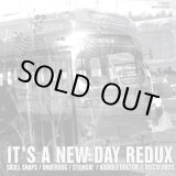 画像: Skull Snaps - It's A New Day Redux  12"