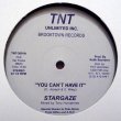 画像1: Stargaze - You Can't Have It  12" 