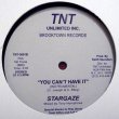 画像2: Stargaze - You Can't Have It  12" 