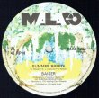 画像2: Baiser - Summer Breeze  12"