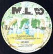 画像3: Baiser - Summer Breeze  12"