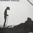 画像1: Baiser - Summer Breeze  12"