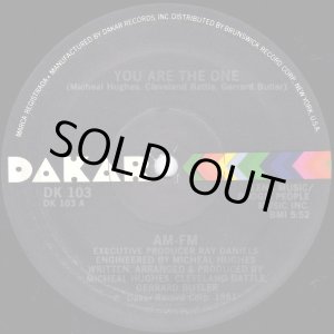 画像: AM-FM - You Are The One 12"