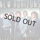 画像: New Horizons - Gonna Have Big Fun  LP 
