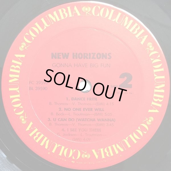 画像3: New Horizons - Gonna Have Big Fun  LP 