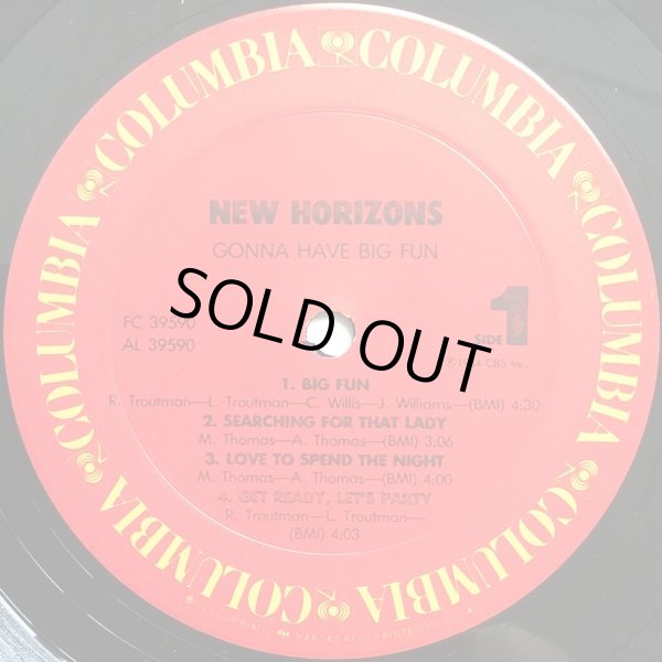 画像2: New Horizons - Gonna Have Big Fun  LP 