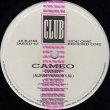 画像2: Cameo - Candy/Don't Be Lonely/Single Life  12"X2