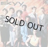 画像: Skyy - From The Left Side  LP