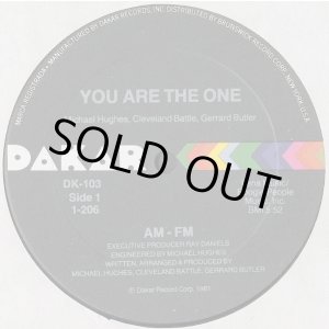 画像: AM-FM - You Are The One 12"