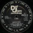 画像2: Beastie Boys - She's On It/Hold It, Now Hit It/Slow And Low  12"