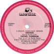 画像2: Surface/Rafael Cameron - Falling In Love/Desires 12"