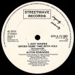 画像2: Alton Edwards - I Just Wanna (Spend Some Time With You)  12"