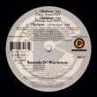 画像1: Sounds Of Blackness - I Believe  12"