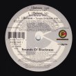 画像2: Sounds Of Blackness - I Believe  12"