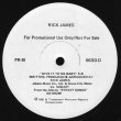 画像1: Rick James - Give It To Me Baby  12"