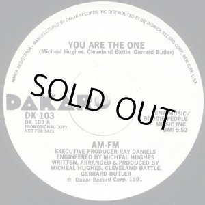 画像: AM-FM - You Are The One 12"