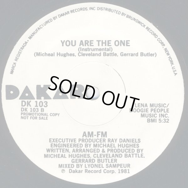 画像2: AM-FM  -  You Are The One  12"