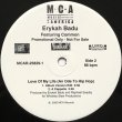 画像2: Erykah Badu feat Common - Love Of My Life (An Ode To Hip Hop)  12"