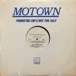 画像1: Stone City Band - Ladies Choice  12"