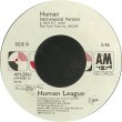 画像2: Human League - Human 7"