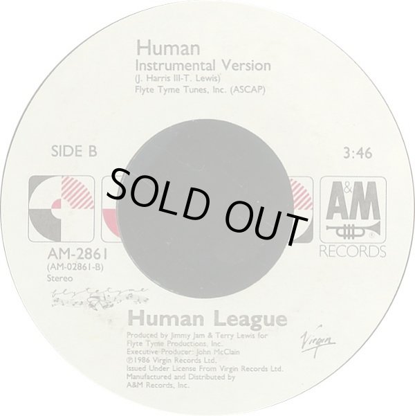 画像2: Human League - Human 7"