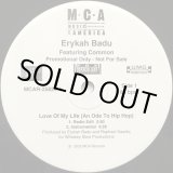 画像: Erykah Badu feat Common - Love Of My Life (An Ode To Hip Hop)  12"