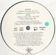 画像3: Titiyo - FlowersX3/Doin' His Thing (3:27) 12"