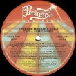画像1: V.A - Prelude Megamix Vol. 2 Cult & Rare Grooves  12"
