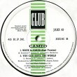 画像3: Cameo - Back And Forth/You Can Have The World  12"