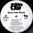 画像2: A.L.T - Stone Cold World   LP