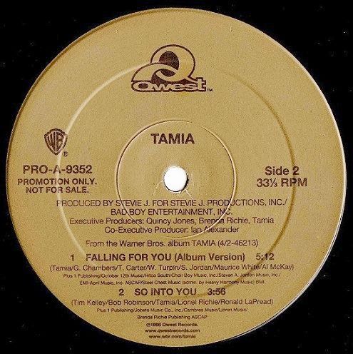画像1: Tamia - So Into You/Falling For You  12"