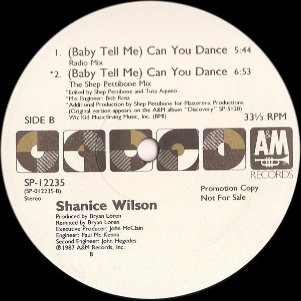 画像2: Shanice Wilson - (Baby Tell Me) Can You Dance  12"