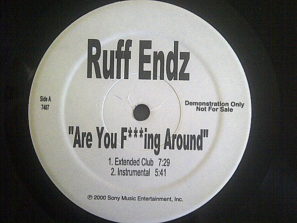 画像1: Ruff Endz - Are You F**ing Around (Extended Club/Inst/LP Vers/Acappella) 12"