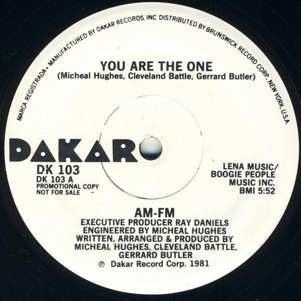 画像1: AM-FM  -  You Are The One  12"